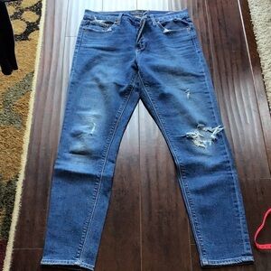 Lucky Brand Bridgette Skinny Jeans